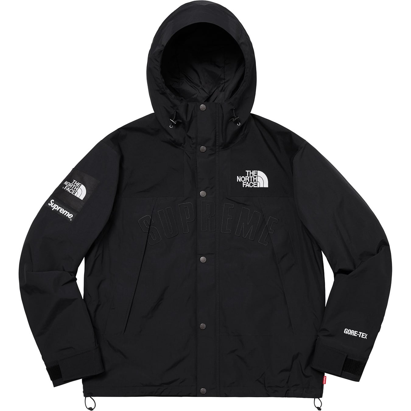Supreme®/The North Face® Arc Logo Mountain Parka view 6